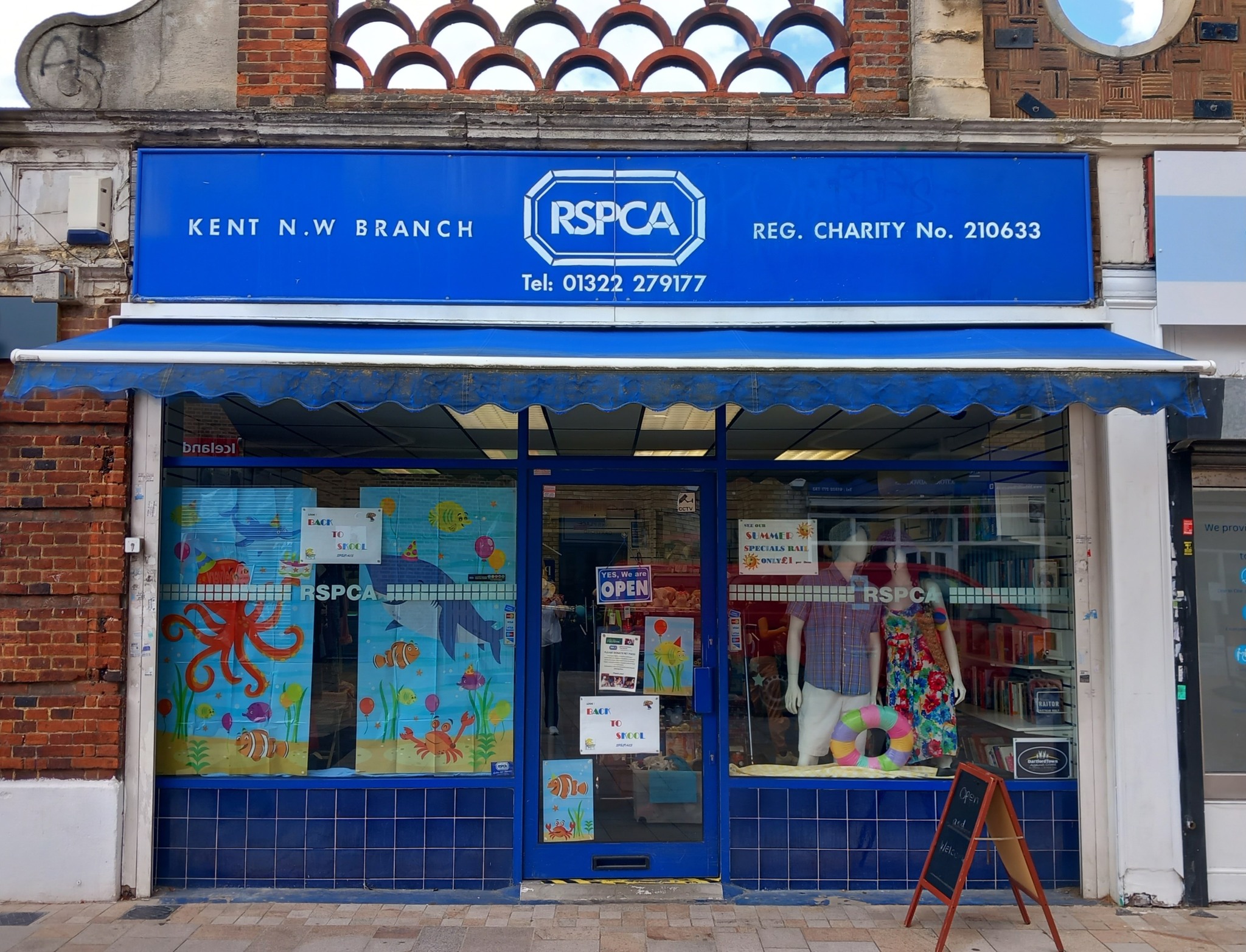 Unwanted kittens given second chance thanks to our Dartford Charity